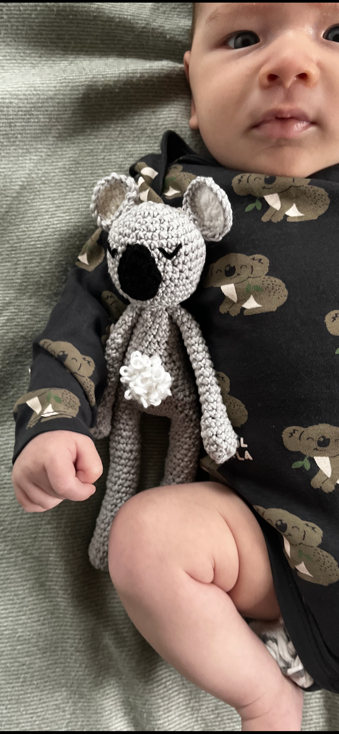 Set - Ricorumi koala